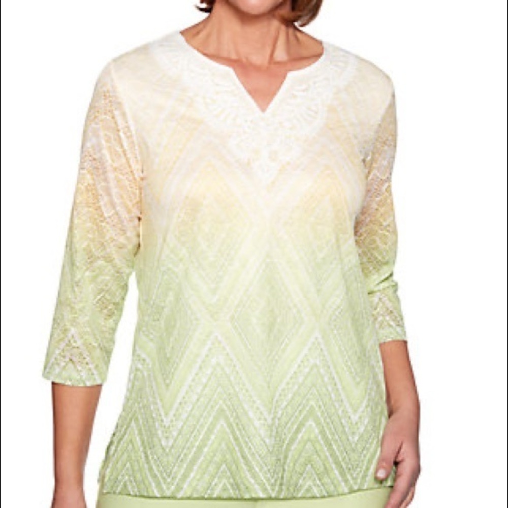 Alfred Dunner Endless Weekend Ombré Diamond Knit Top NWT